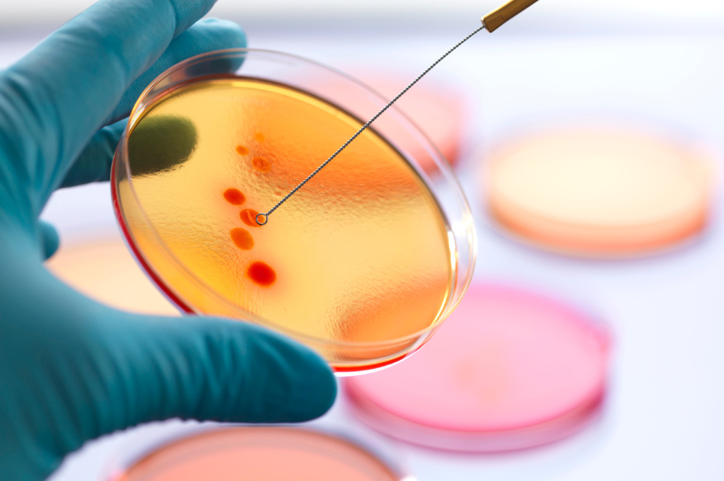 Innovative antibiotics in the fight against superbugs