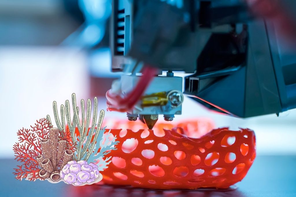 3D printing used to save coral reefs